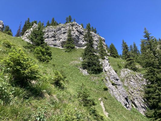 Machnaté - nekonečná krááása