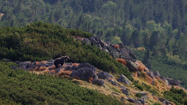 pod širokým sedlom- foto J.Pacera