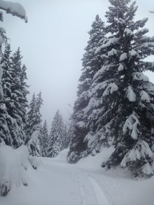 Konečne zimná idyla – 15.1.2016