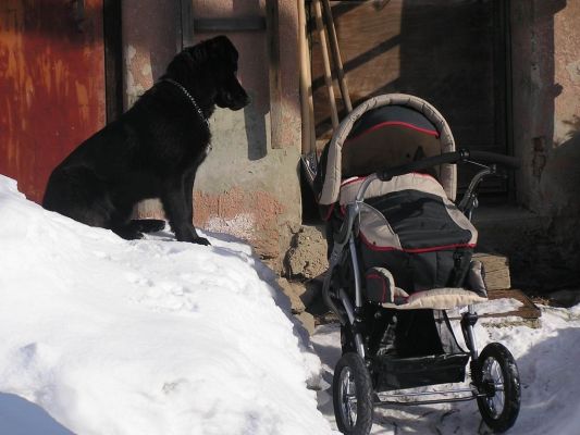 Nase dve nove deti ale jeden uz strazi druhu